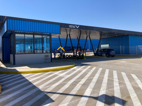 Arriendo Bodega De 1.200 M2 En P. Industrial Enea, Pudahuel.