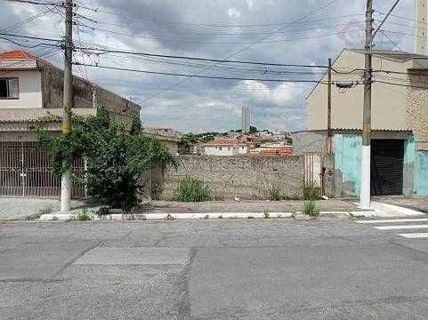 Imagem 7 de 8 de Terreno À Venda, 320 M² Por R$ 920.000,00 - Vila Lúcia Elvira - São Paulo/sp - Te0313