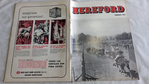 Revista Hereford 313 54 Feria De Bagé Febrero 1967