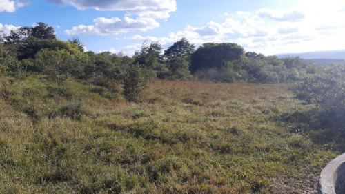 Imagem 8 de 27 de Fazenda Com 377 Tarefas Em Morro Do Chapéu - Bahia - Afd015 - 70334233