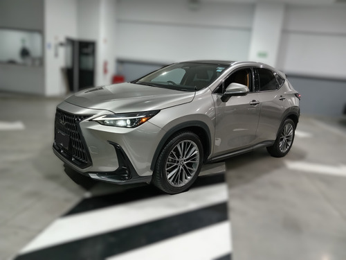 Lexus Nx 2022