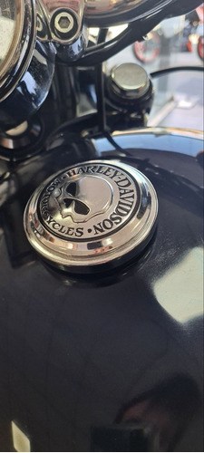 Harley Davidson 1200 Xl Custom