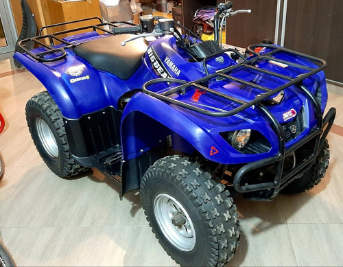 Imagen 1 de 12 de Yamaha 250 Big Bear/permuto Solo Por Raptor 250 Mismo Estad
