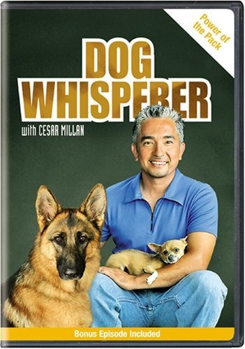 Dog Whisperer: Poder De La Manada.