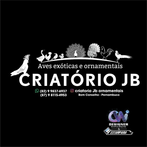 Imagem 2 de 8 de Criação De Logos,artes Em Geral,melhoramos Sua Logo Etc...