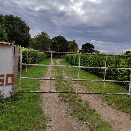 Imagen 3 de 30 de Se Vende Finca Ganadera En El Estado Barinas