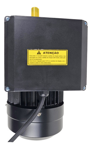 Motor Elétrico 3cv 4 Pólos Monof. Bivolt Ip55 Yl100l1 Lynus