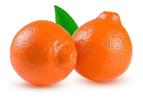 Naranja Mineola