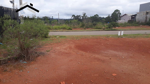 Imagem 4 de 12 de Ótimo Terreno Plano No Jardim Vitória Em Cotia - 441