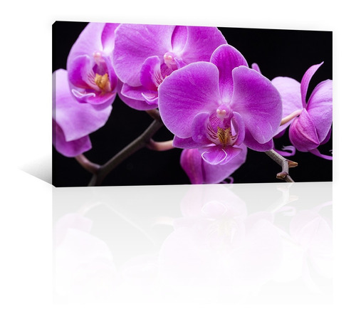 Cuadro Decorativo Canvas Naturaleza Flores Orquideas Violeta