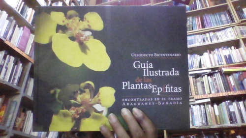 Guia Ilustrada De Las Plantas Epifitas