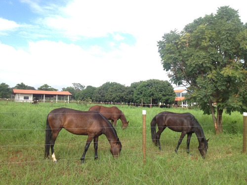 Linda E Aconchegante Chácara / Sítio / Mini Haras