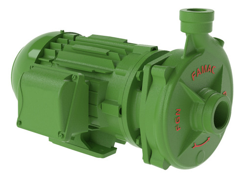 Motobomba Centrífuga Fgn-2 3cv Motor Weg I P 55 Trif Famac Cor Verde Fase elétrica Trifásica 220V/380V TRIFÁSICO