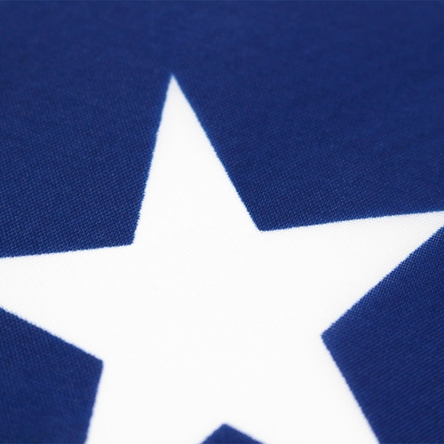 Bandeira Do Texas