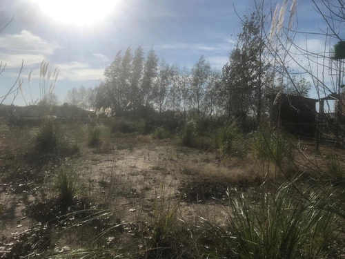 Imagen 3 de 5 de Terreno - Villa Paranacito