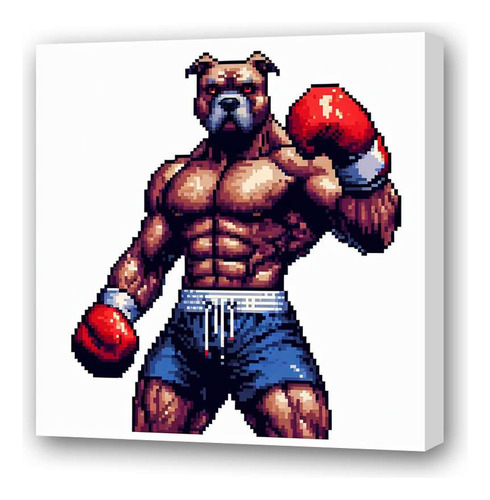 Cuadro 30x30cm Pitbull Boxeador Agresivo Gimnasio Gym