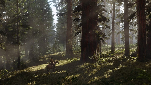 Mapa Red Dead Redemption 2 Em Ótimo Estado (Usado)