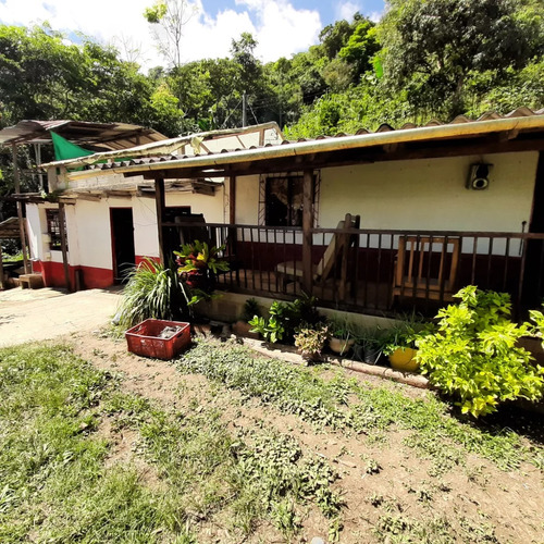 Se Vende Finca Cafetera En El Municipio De Santa Barbara (antioquia)