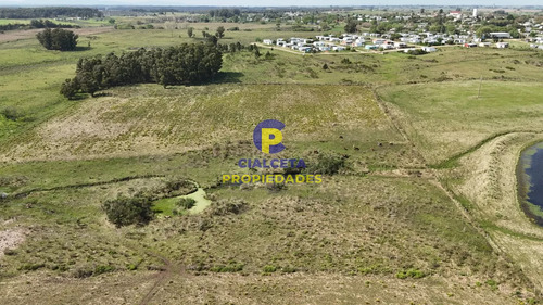 3 Hectáreas En Migues Con Aguada Y Linda Vista