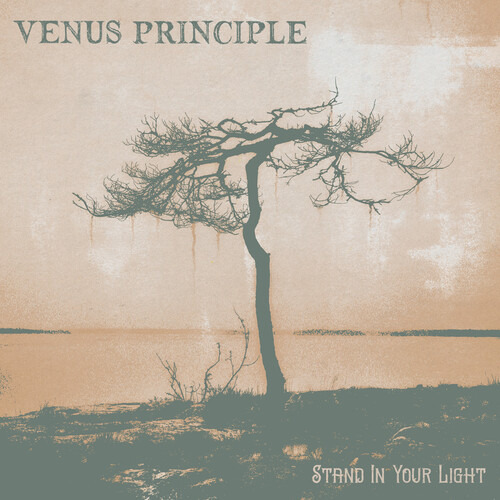 Cd Sobre El Principio De Venus: Stand In Your Light