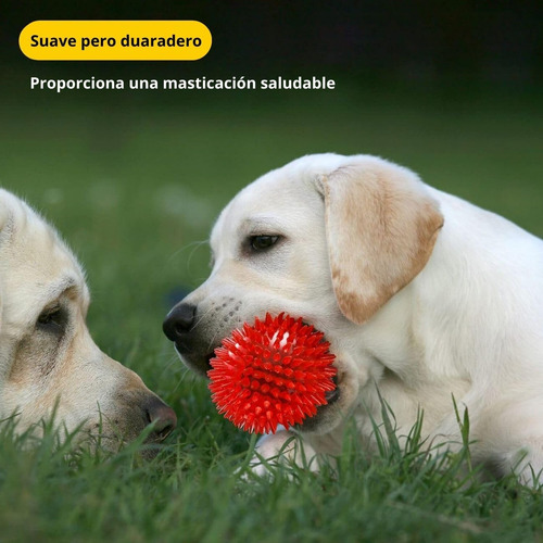 Pelotas Para Perro De Juguete De 3.5 Pulgadas, Juguetes
