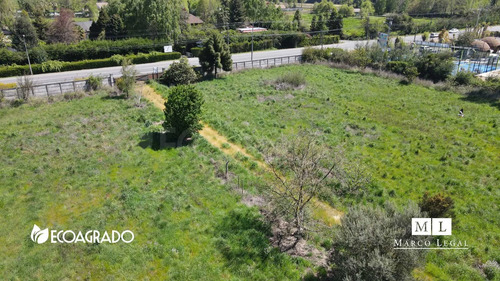 Terreno Camino A Cato (129560)