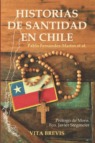 Libro: Historias De Santidad En Chile (spanish Edition)