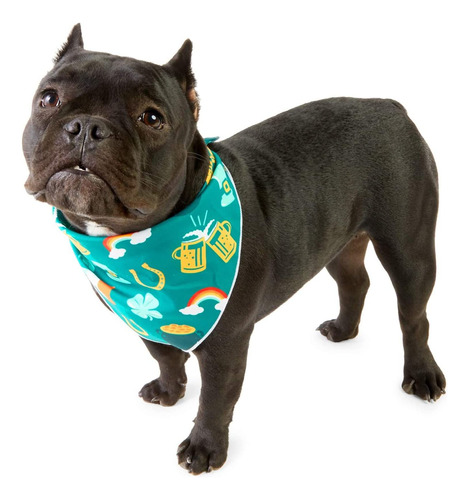 St Patricks Bandana Set Para Perros, Accesorios De Disfraz .