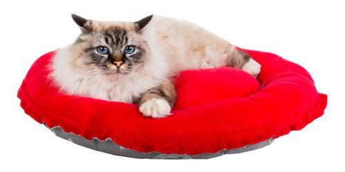 Imagen 3 de 9 de Cama Moises Colchon Para Para Perros Gatos Estacion Futura