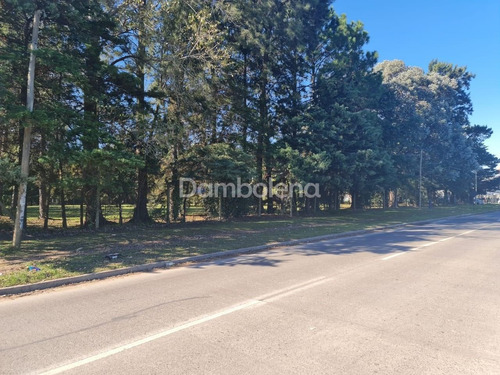 Imagen 12 de 14 de Terreno Fraccion En Venta Sobre Colectora Norte Acceso Oeste - General Rodríguez - G.b.a. Zona Oeste