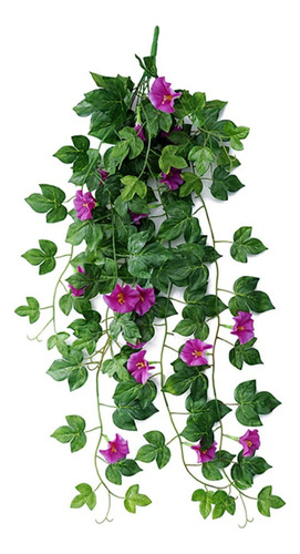 Cestas Colgantes Morning Glory De Color Rosa Con Plantas Col