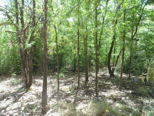 Imagen 24 de 24 de Venta Excelente Terreno 2.400 M2 San Huberto, Nono, Traslasierra