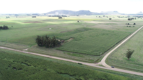 Imagen 24 de 30 de Quinta De 8 Has. A 1.800 Mts Ruta 226 - 100 % Agrícola