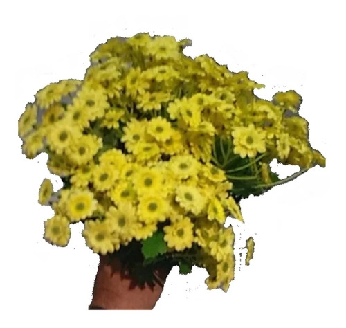 Buque De Mini Margaridas Amarelas Flor Artificial Arranjo | MercadoLivre