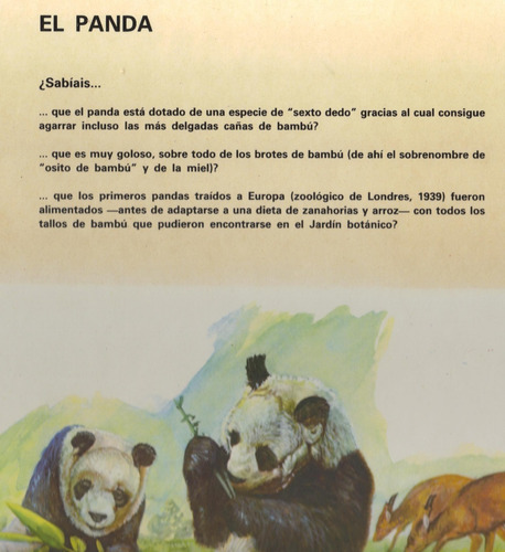 Imagen 3 de 4 de Libro Vida De Los Animales Jungla Estepa De Asia Y Oceanía