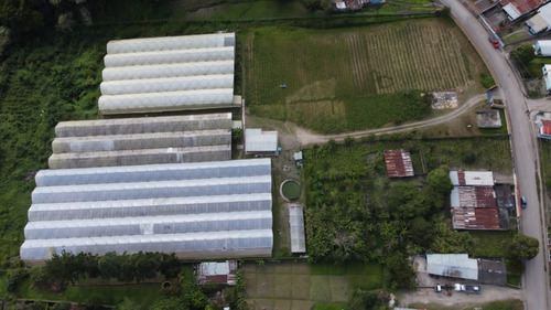 Imagen 2 de 15 de En Venta Finca De 2 Hectáreas En La Guanota