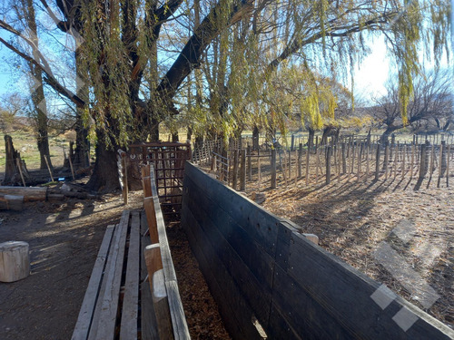 Venta De Estancia En Ruta Provincial 21, Kilómetro 31, Departamento Picunches, Paraje Huarenchenque