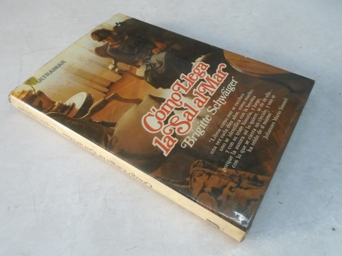 Como Llega La Sal Al Mar Brigitte Schwaiger