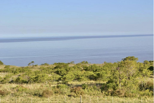 Imagen 10 de 18 de Maravillosa Chacra De 37,5 Ha Con Casa A La Costa Del Rio En Artilleros, Colonia, Uruguay.