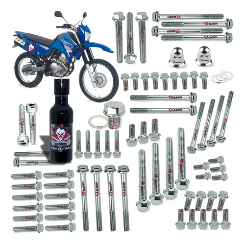 Clown Kit Parafusos Cromados  Motor Lander 250 2007 2022 Y9c