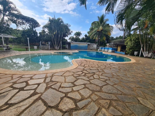 Imagen 10 de 13 de En Venta Finca, En Sabana Del Medio, Barrera