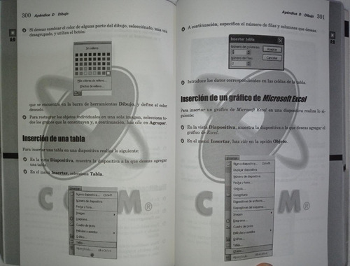 Presentaciones Efectivas En Computadora - Ccpm (Usado)