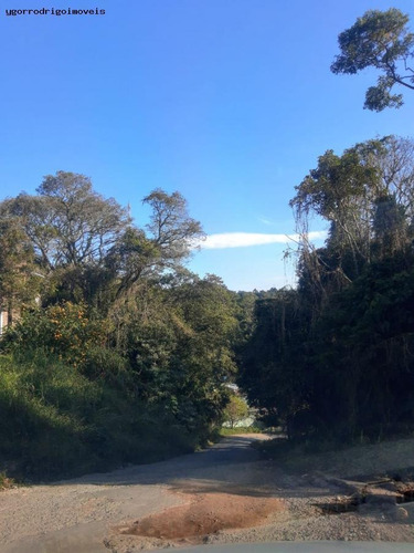Imagem 9 de 15 de Terreno Para Venda Em Mairiporã, Jardim Sabambaia - 8063yg_1-1599393