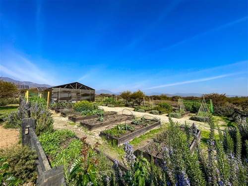 Sitio En Venta En Zapallar