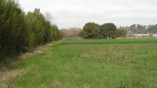 Imagen 3 de 11 de Terreno Campo En Venta Ubicado En Pilar, G.b.a. Zona Norte