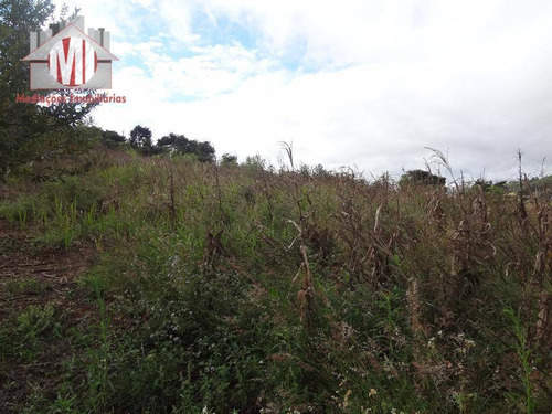 Chácara Com 02 Dormitórios À Venda, 37000 M² Por R$ 450.000 - Zona Rural - Pinhalzinho/sp - Ch0206