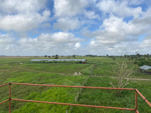 Imagen 6 de 7 de Venta De Finca Via El Sur Ve02-045vs-sg