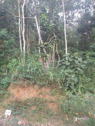 Terreno À Venda, 960 M² Por R$ 265.000,00 - Jardim Dos Ypês - Embu Das Artes/sp - Te0275