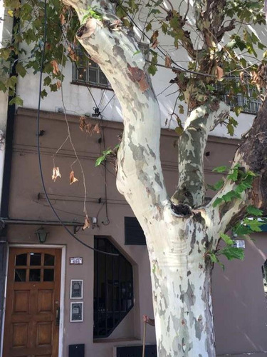 Departamento En Venta En Bernal Centro