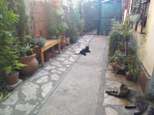 Imagen 10 de 10 de Casa Ph En Venta En Ituzaingó Con Dos Dormitorios